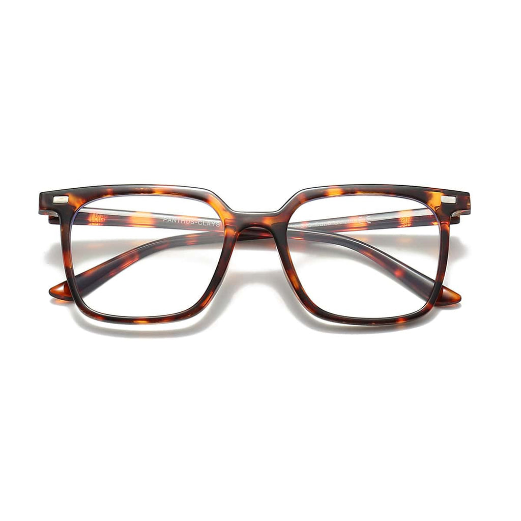 Clays / Tortoise Blue Control