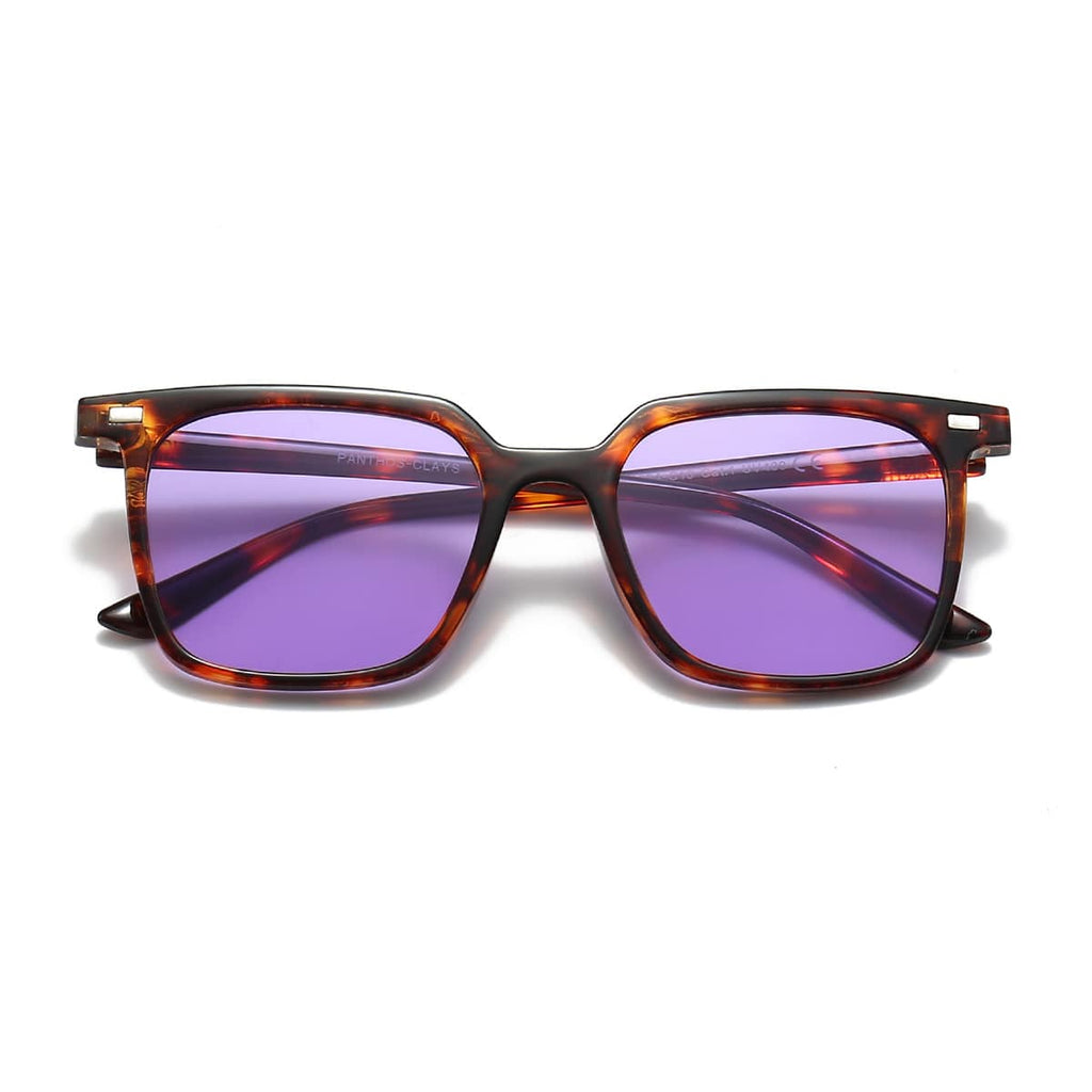 Clays / Tortoise Violet