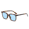 Clays / Tortoise Blue