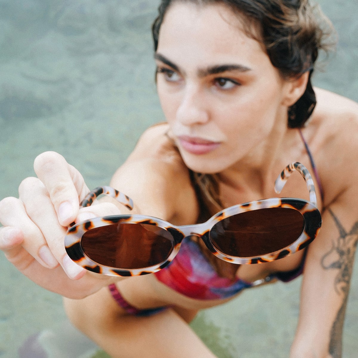 Oval / Tortoise Brown