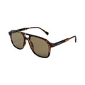 Vector / Tortoise Light Brown